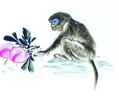 十二生肖中属猴的人命运如何？几点出生最好？