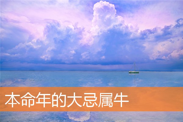 本命年的大忌属牛