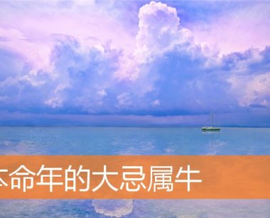 本命年的大忌属牛