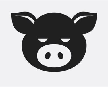 属猪人遇鼠年