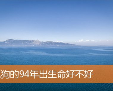 属狗的94年出生命好不好