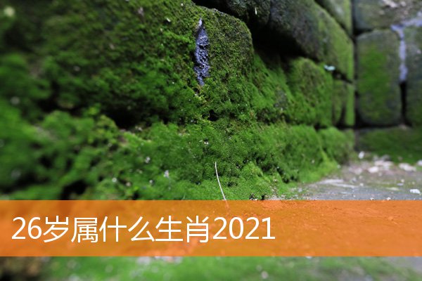 26岁属什么生肖2021