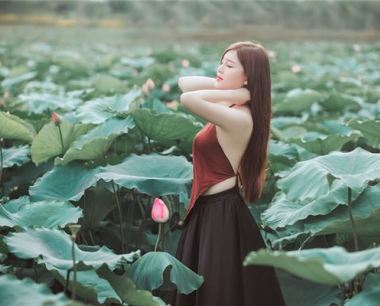 狗三合的有啥生肖
