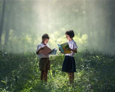 12年生肖龙早年学业如何