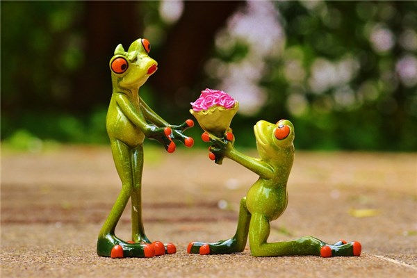 属牛婚配哪个属相最好