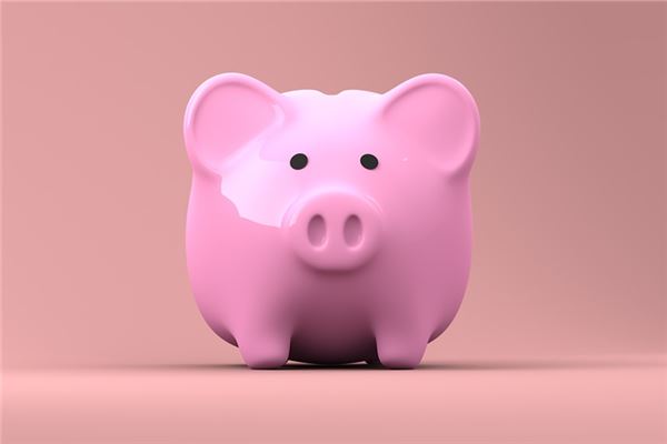 运势大全：2019年属猪运势分析