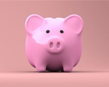 运势大全：2019年属猪运势分析