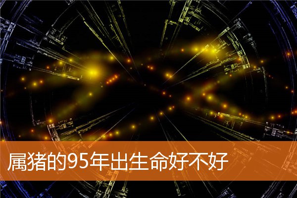 属猪的95年出生命好不好