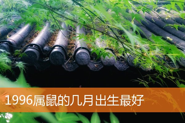 1996属鼠的几月出生最好