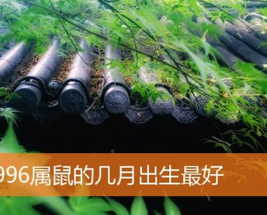 1996属鼠的几月出生最好