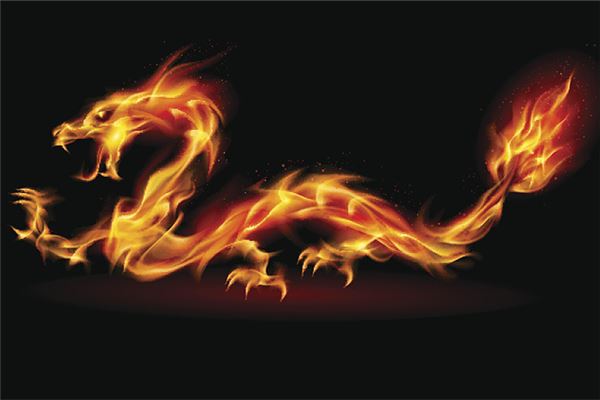 属龙的出生年份表