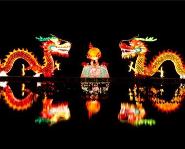 1988年龙哪个时辰运旺