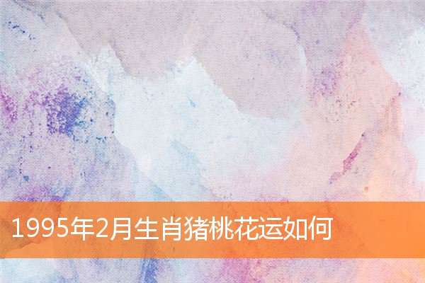 1995年2月生肖猪桃花运如何