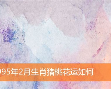 1995年2月生肖猪桃花运如何