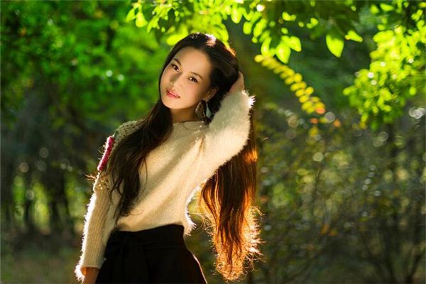属猪的人在2019年的运势