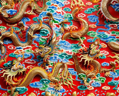 属龙今年健康运如何