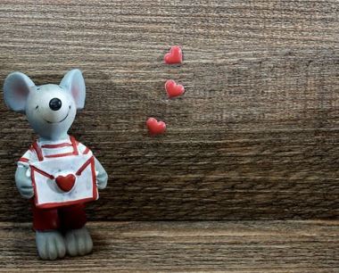 子时是什么生肖