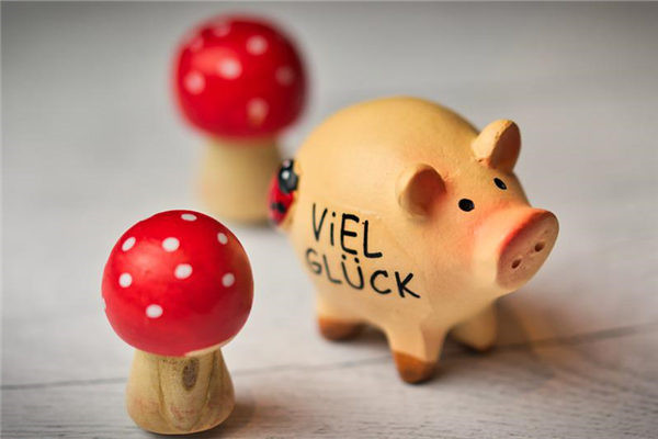 2007年属猪几月命好