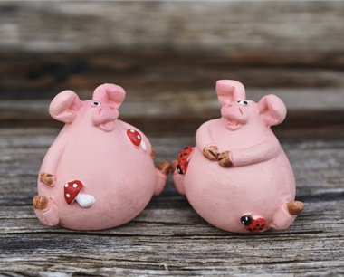 属猪2025运势及运程详解