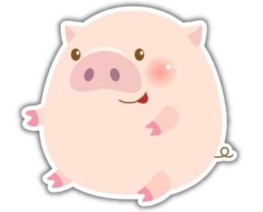 1959年属猪人运势怎么样