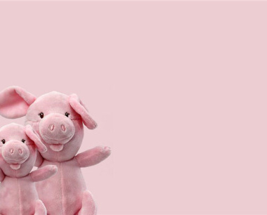 属猪最不顺的年份