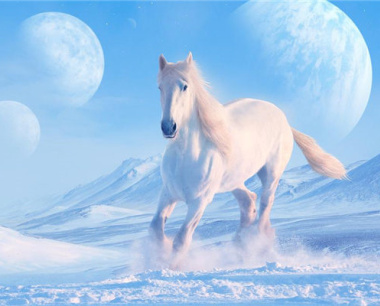 90属马2025必有一难