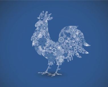 2015年属鸡人的全年运势