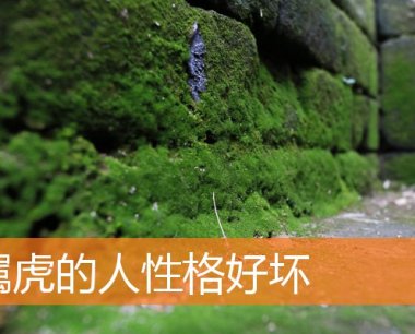 属虎的人性格好坏