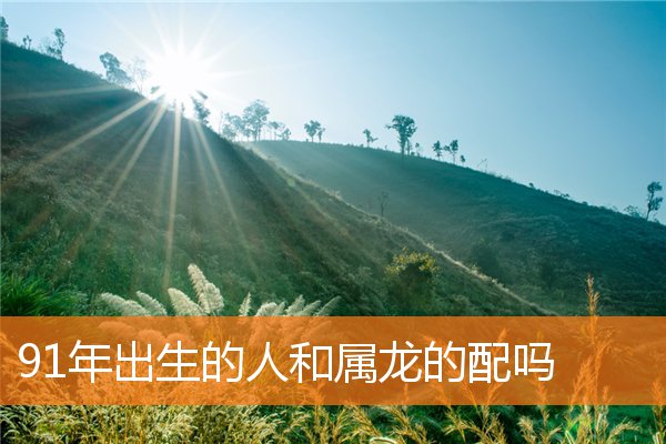 91年出生的人和属龙的配吗
