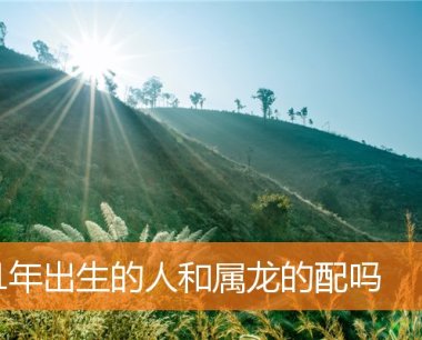 91年出生的人和属龙的配吗