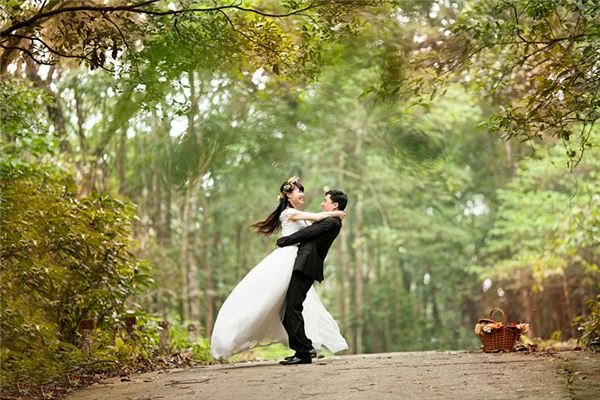 九七年属什么生肖婚配