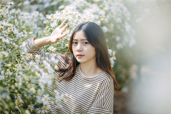 属狗2023年的运势及运程女