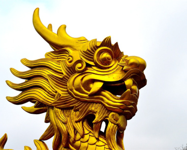 属龙人十龙九苦的原因