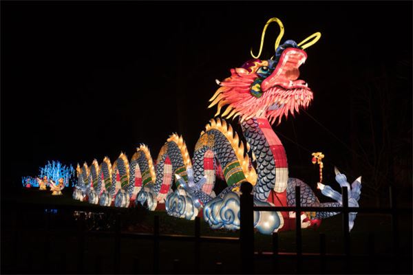 1988年属龙人财运与运程