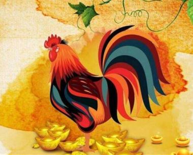 2019年属鸡人的运势解析