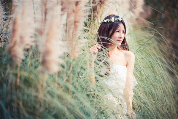 91年属羊的生肖婚配表