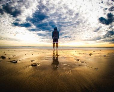 83年猪男2020运势