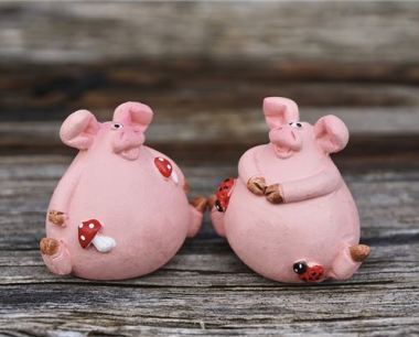 1995年男属猪2021年运程