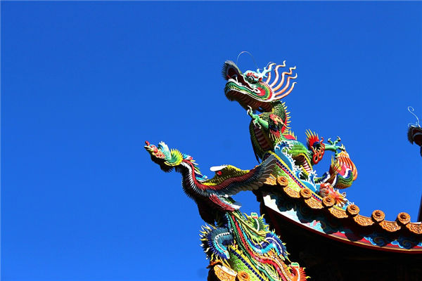 1988是什么生肖年