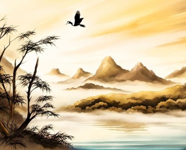 2008年的鼠是土鼠吗
