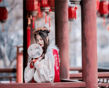 84年属鼠人是什么鼠