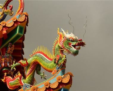 2012年是什么生肖年