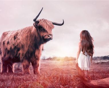 1985年的人婚运如何
