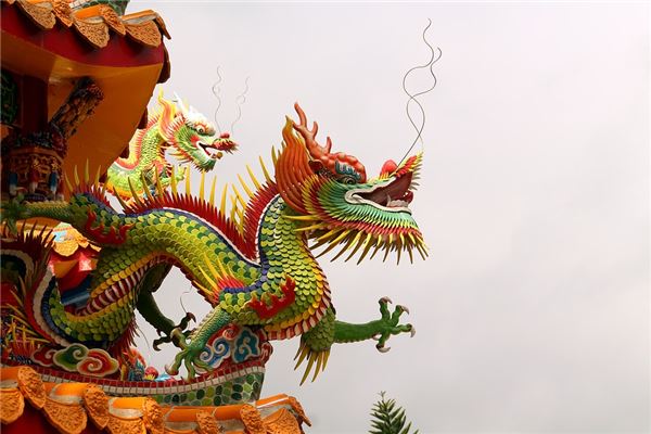 1988是属于哪个属相