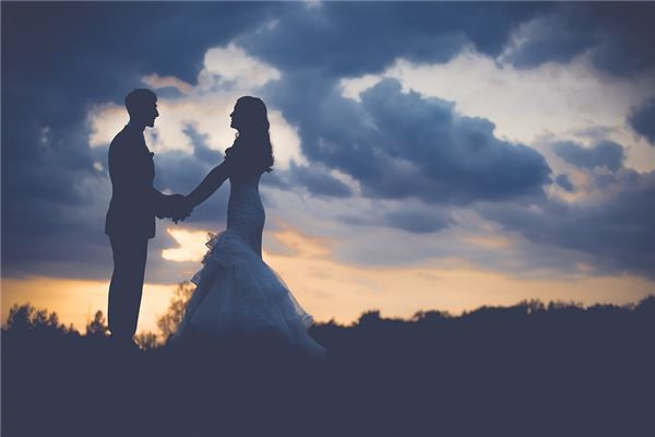 两个属兔的人婚配
