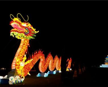 今年属龙的运势如何