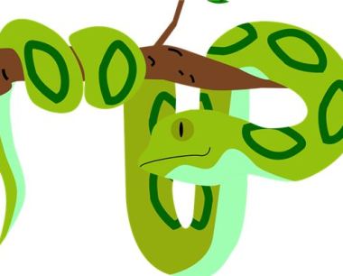 属蛇的人出生年份和特点好坏